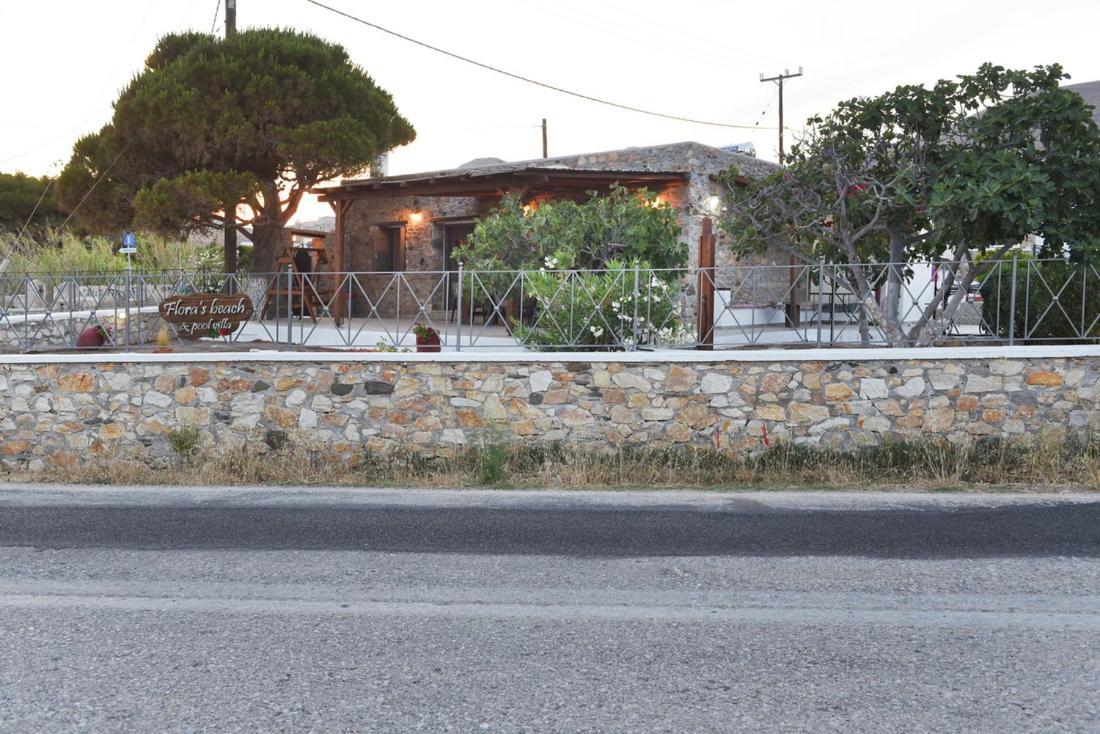 Flora'S Beach And Pool Villa In Syros Liaropa Ngoại thất bức ảnh