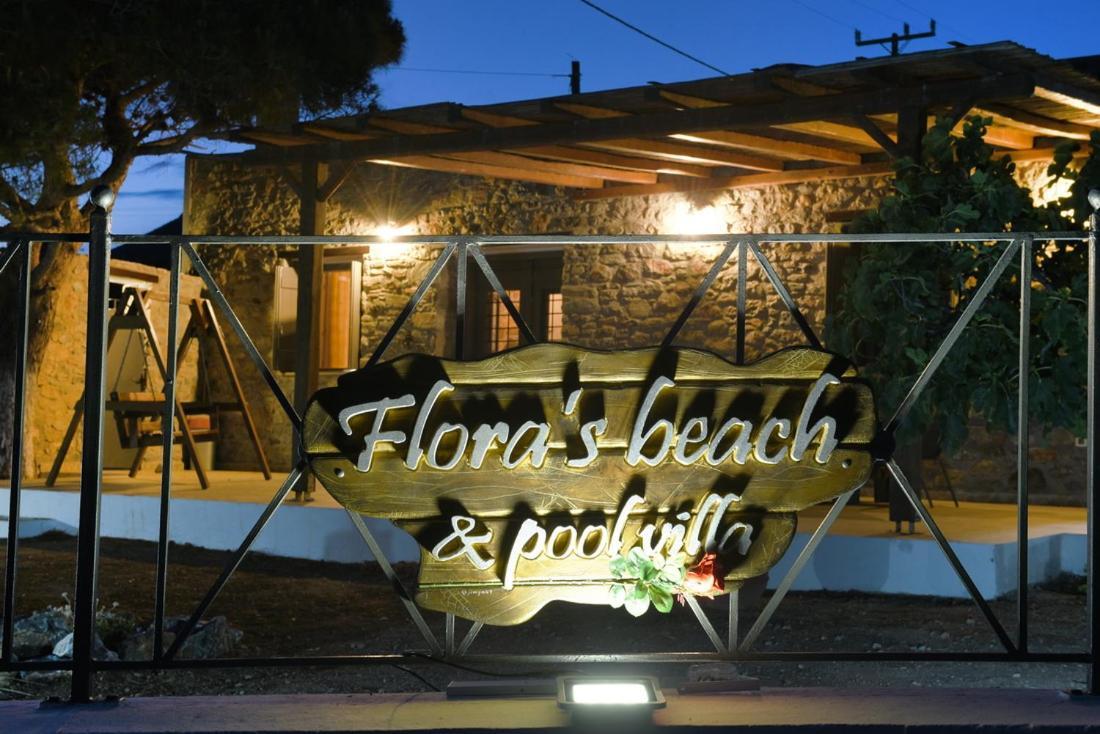 Flora'S Beach And Pool Villa In Syros Liaropa Ngoại thất bức ảnh