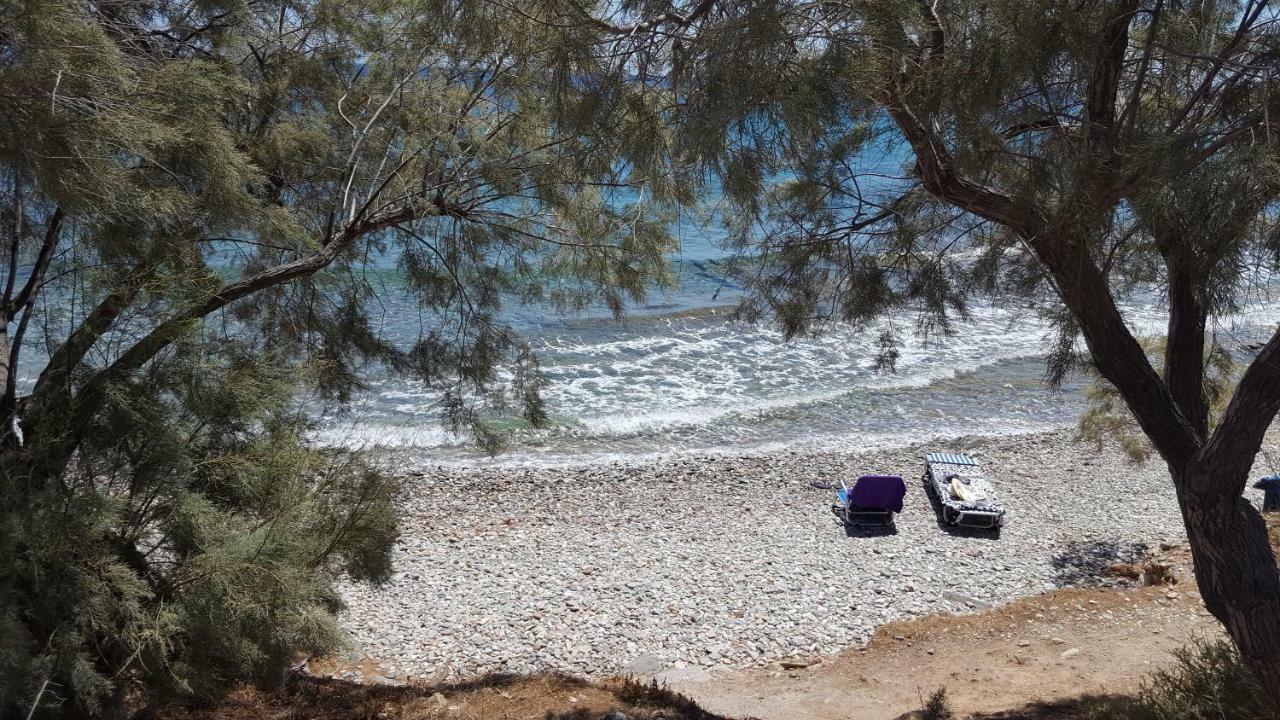 Flora'S Beach And Pool Villa In Syros Liaropa Ngoại thất bức ảnh