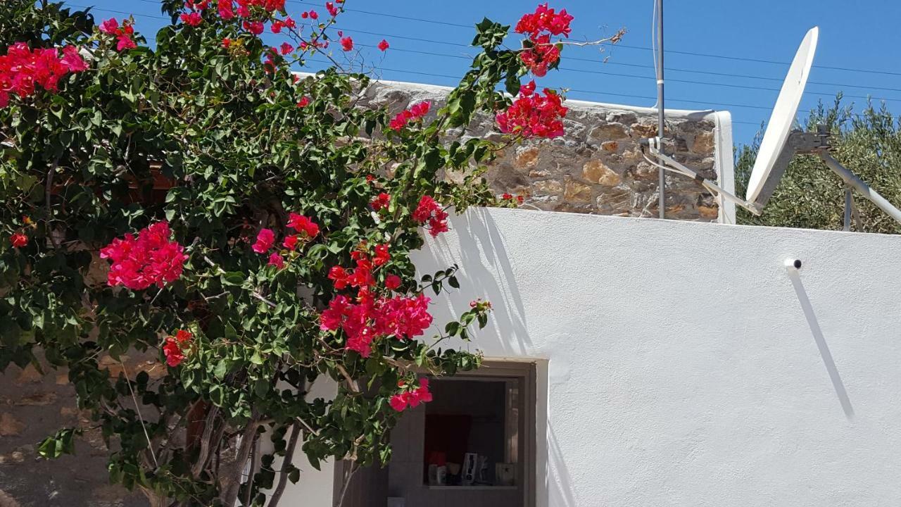 Flora'S Beach And Pool Villa In Syros Liaropa Ngoại thất bức ảnh